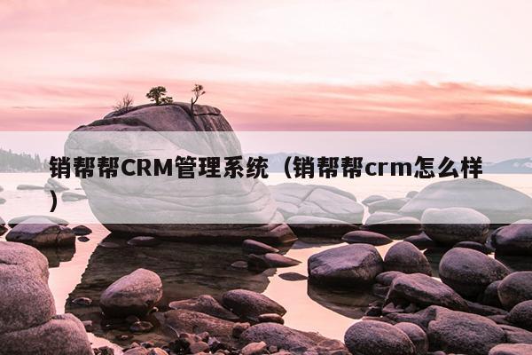 销帮帮crm使用手册_销帮帮crm一年多少钱_销帮软件